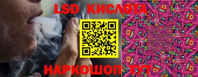 PSILOCYBIN Кунгур