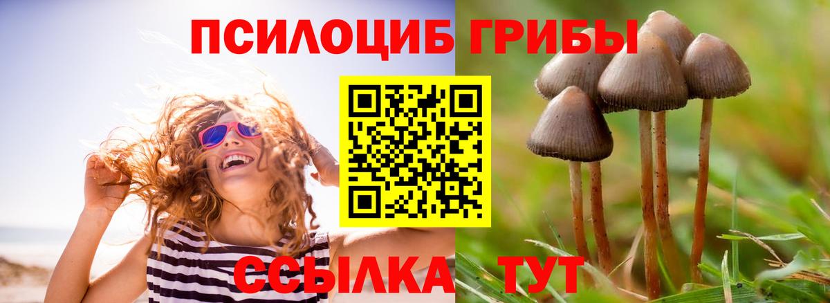 Галлюциногенные грибы Cubensis Шахты