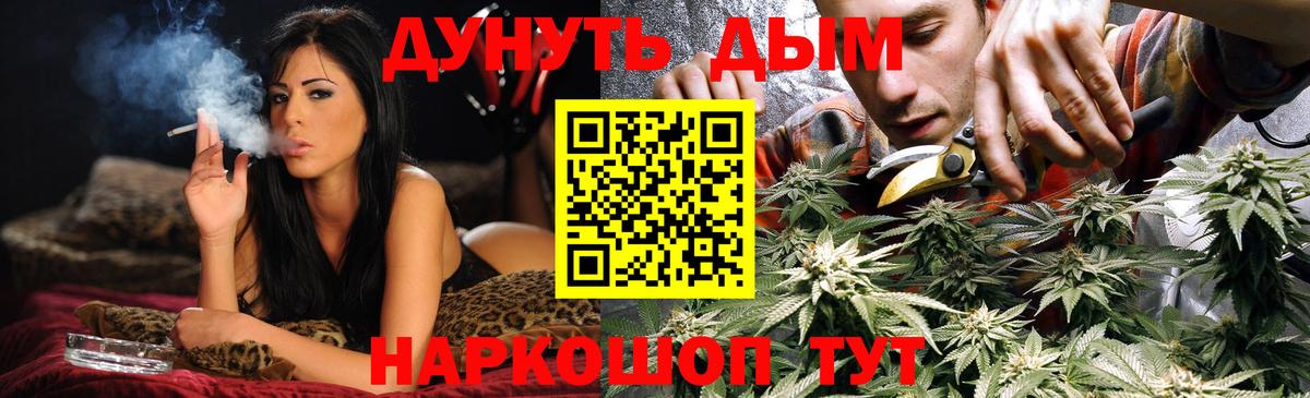 Конопля планчик Шахты